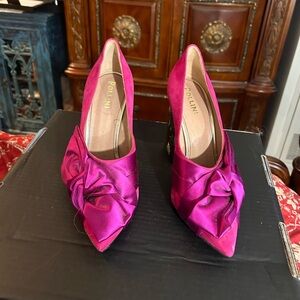 The never say fabulous fabulous Pollini shoes in Fuschia.  Bought in Venice.